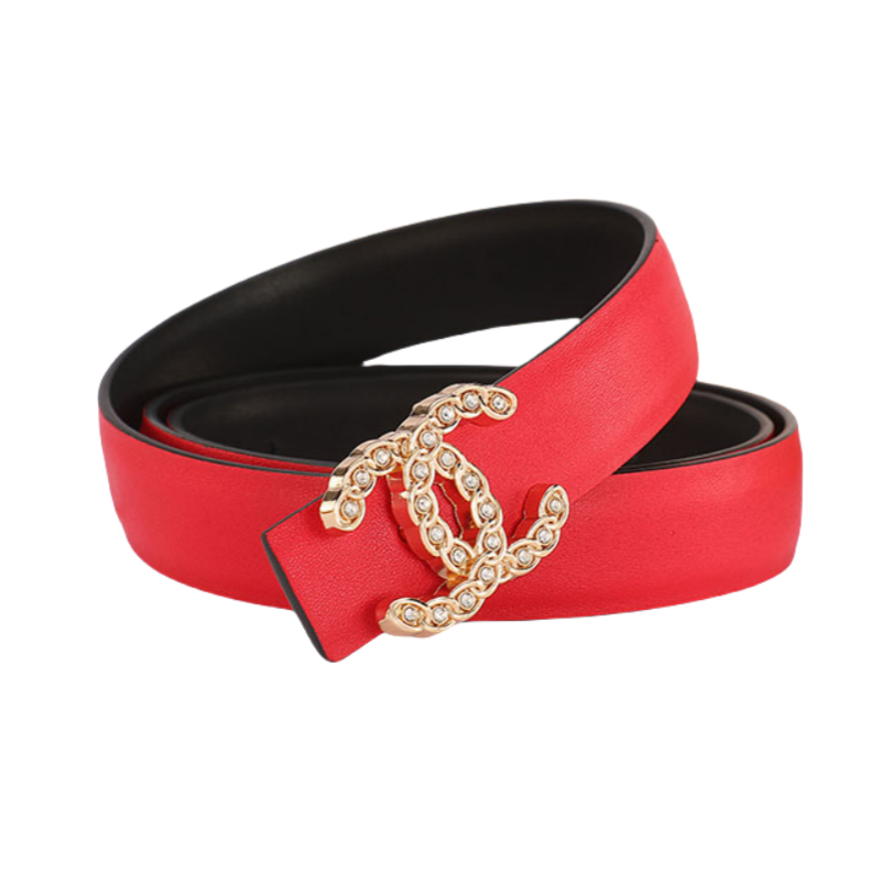 Chanel Belt-5
14+ colorways
[Premium Quality]